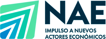 logo nae